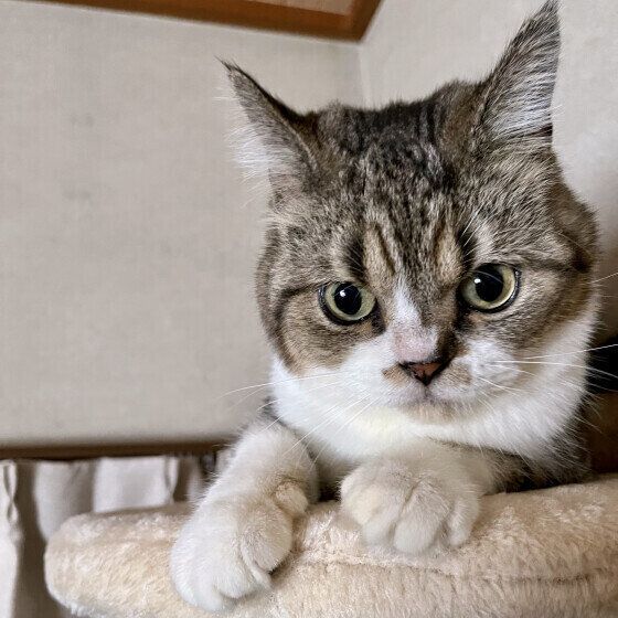 遊びに誘うくりくん