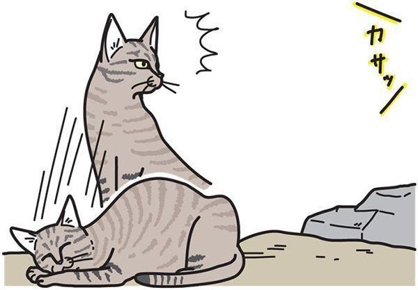 急に起きる猫