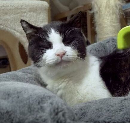 21歳の元気くん