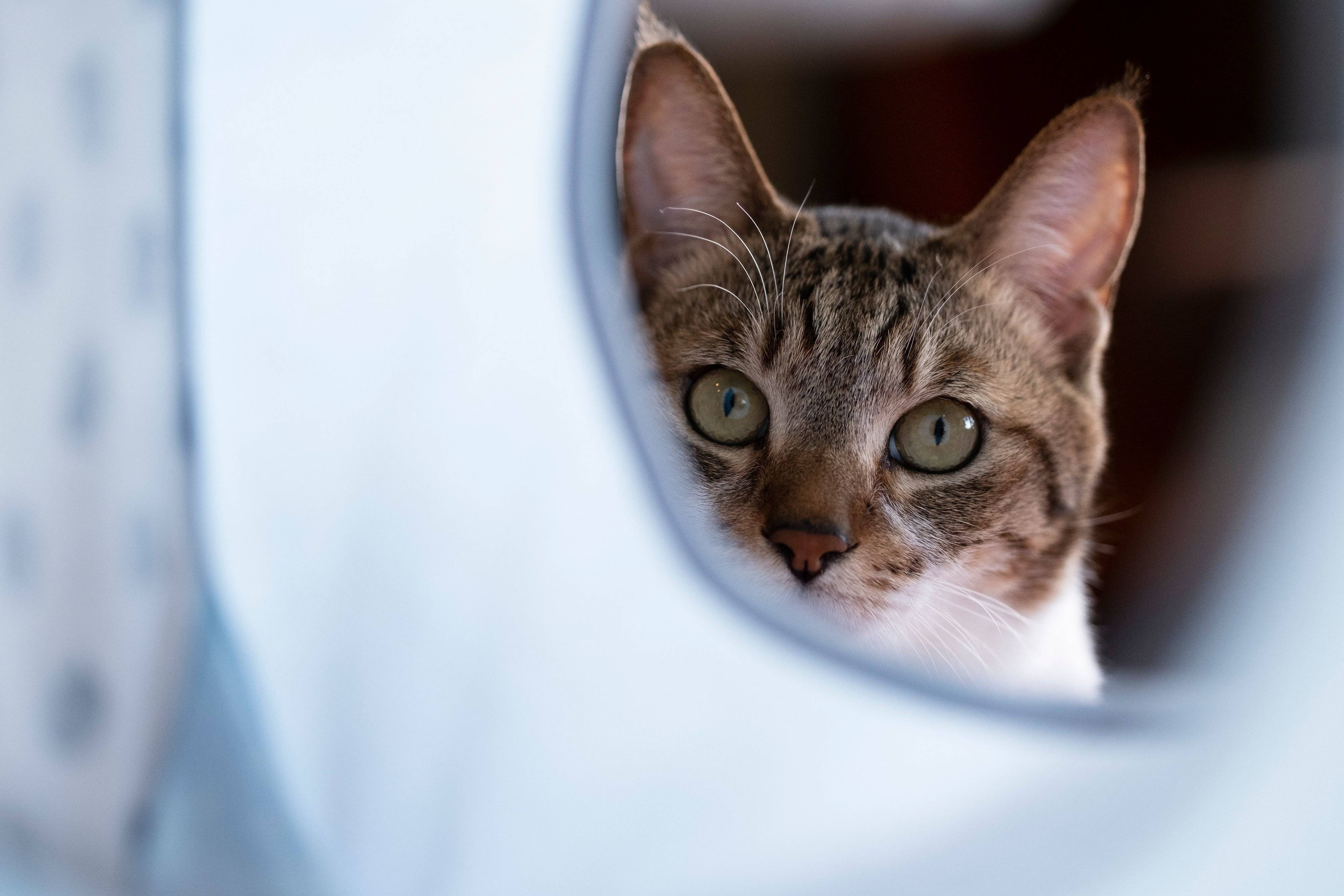 写真／Akimasa Harada