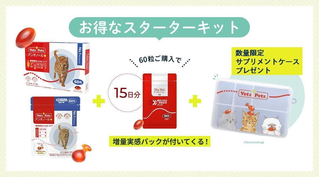 お得なスターターキット