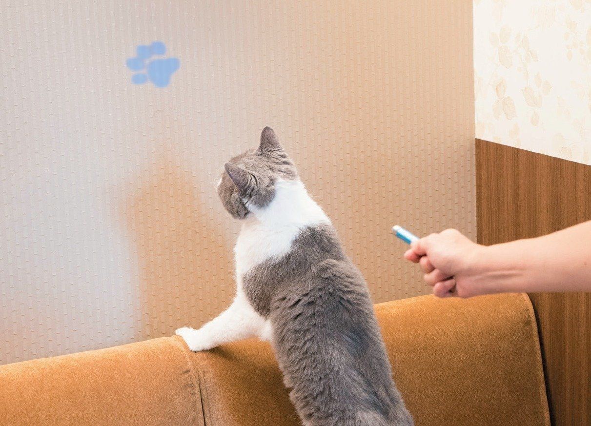 撮影／中川文作