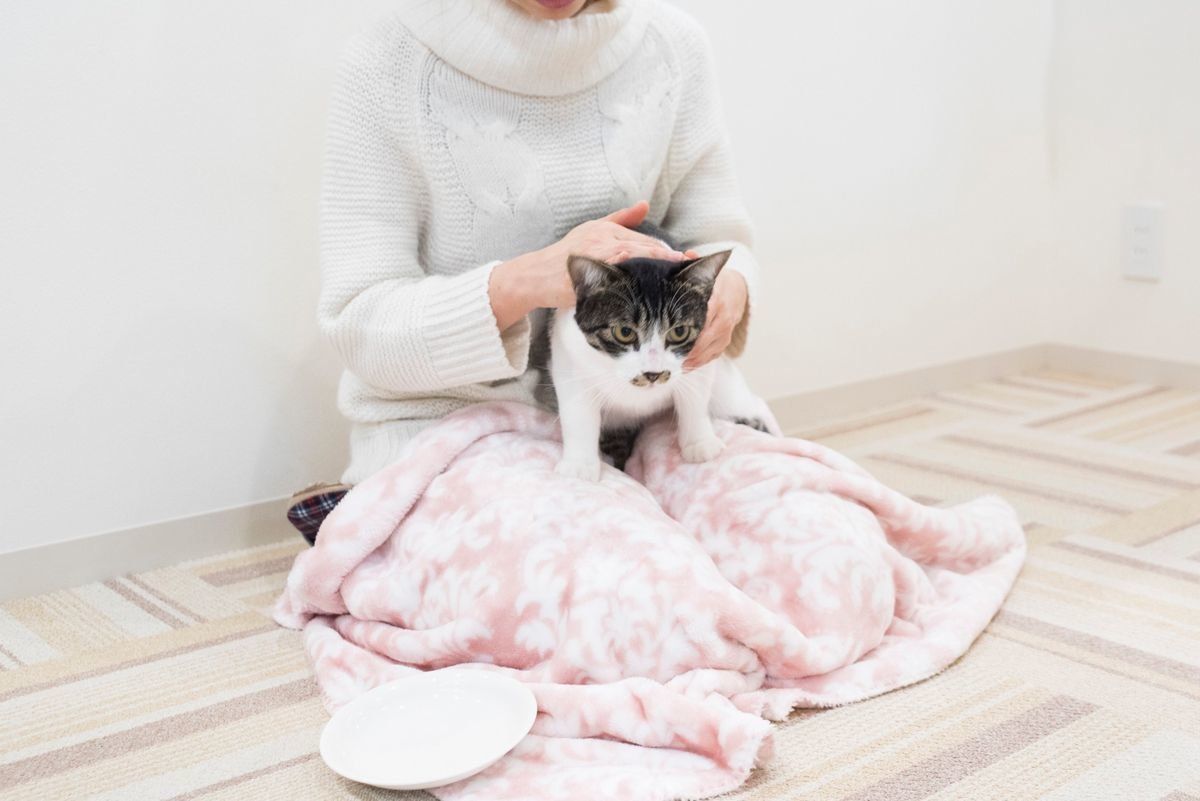 撮影／中川文作