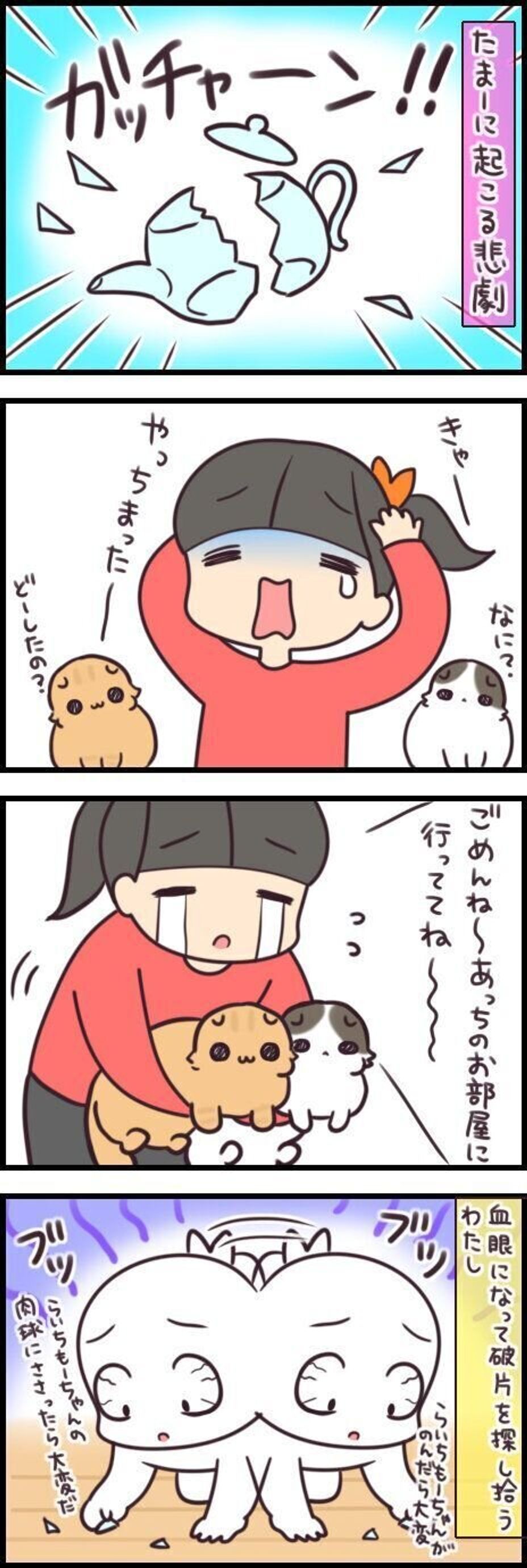 たまにやらかすと焦る 割れたガラスを猫が踏まないために 最終チェックは自分の足裏 連載 もふもふスコたん 193 ねこのきもちweb Magazine たまにやらかすと焦る 割れたガラスを猫が踏まないために 最終チェックは自分の足裏 連載 もふもふスコたん 193 ねこのきもちweb Magazine