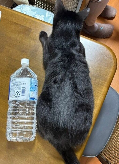 7カ月になったくろろくん