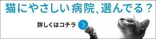 猫にやさしい病院、選んでる?