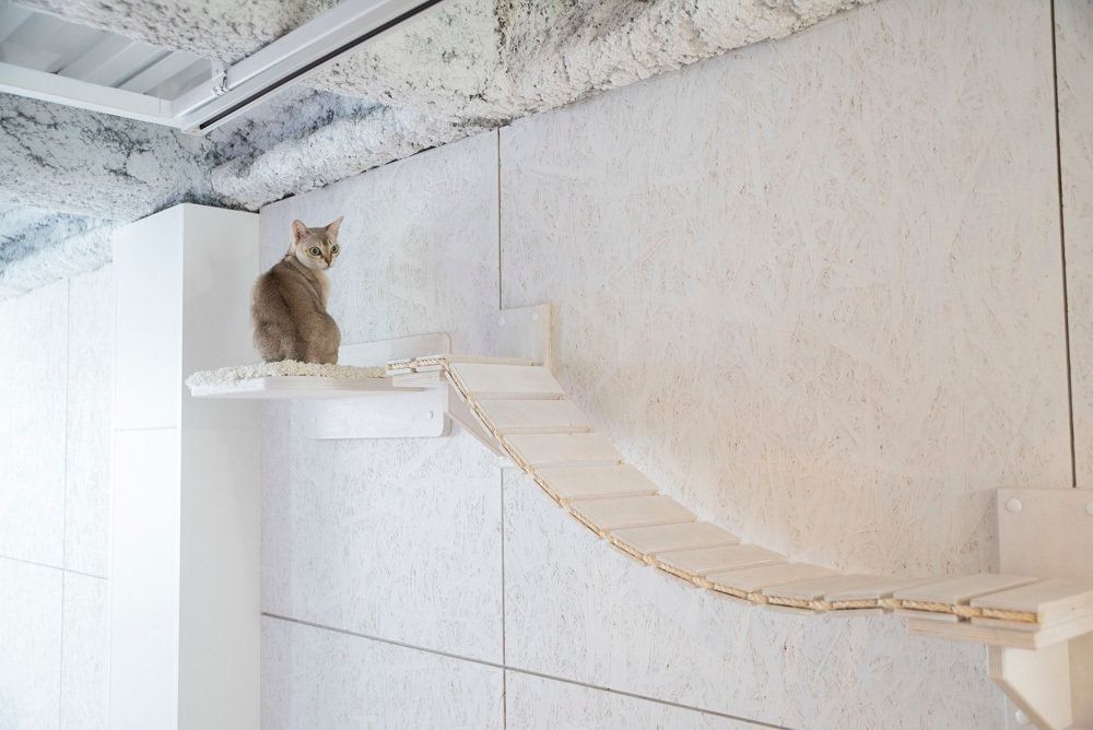 撮影／中川文作