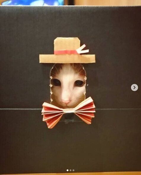 段ボール顔出しパネル