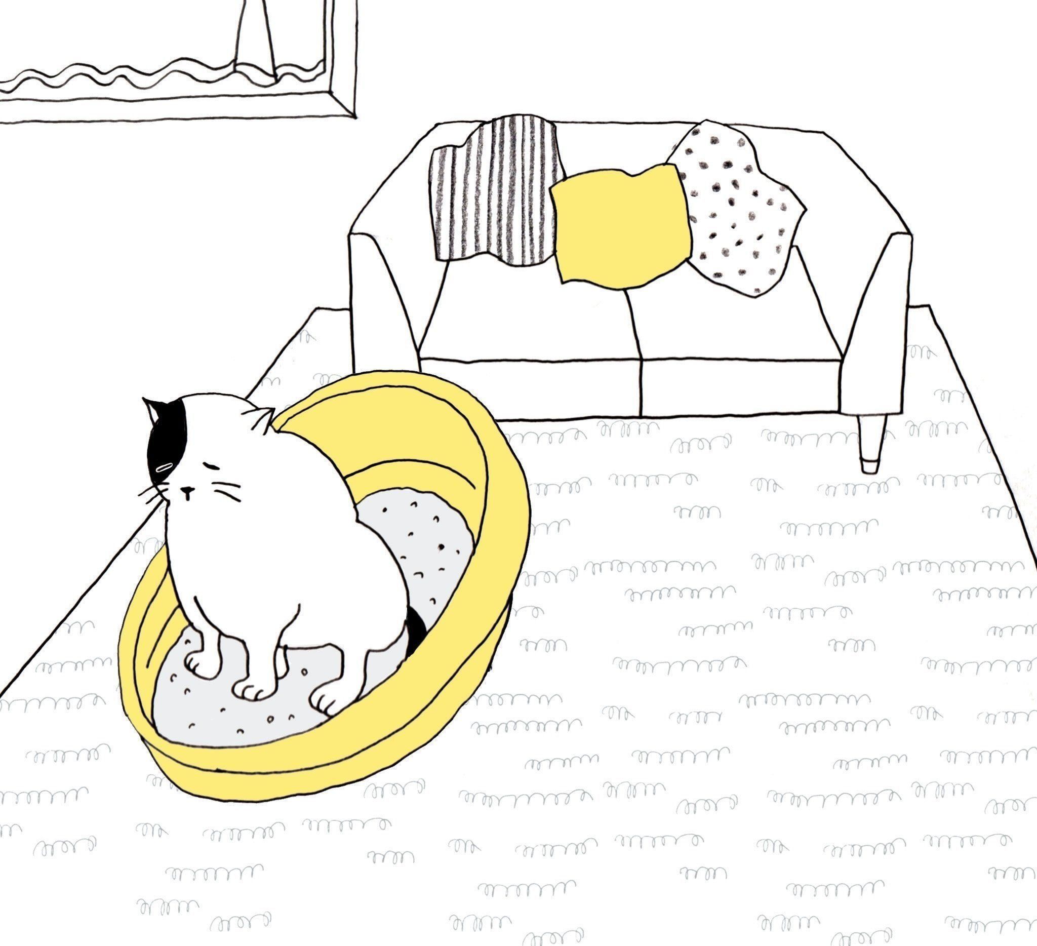 イラスト／齊藤マミ