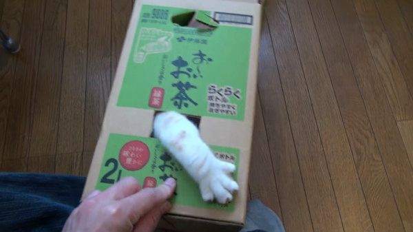 ニャンコ貯金箱