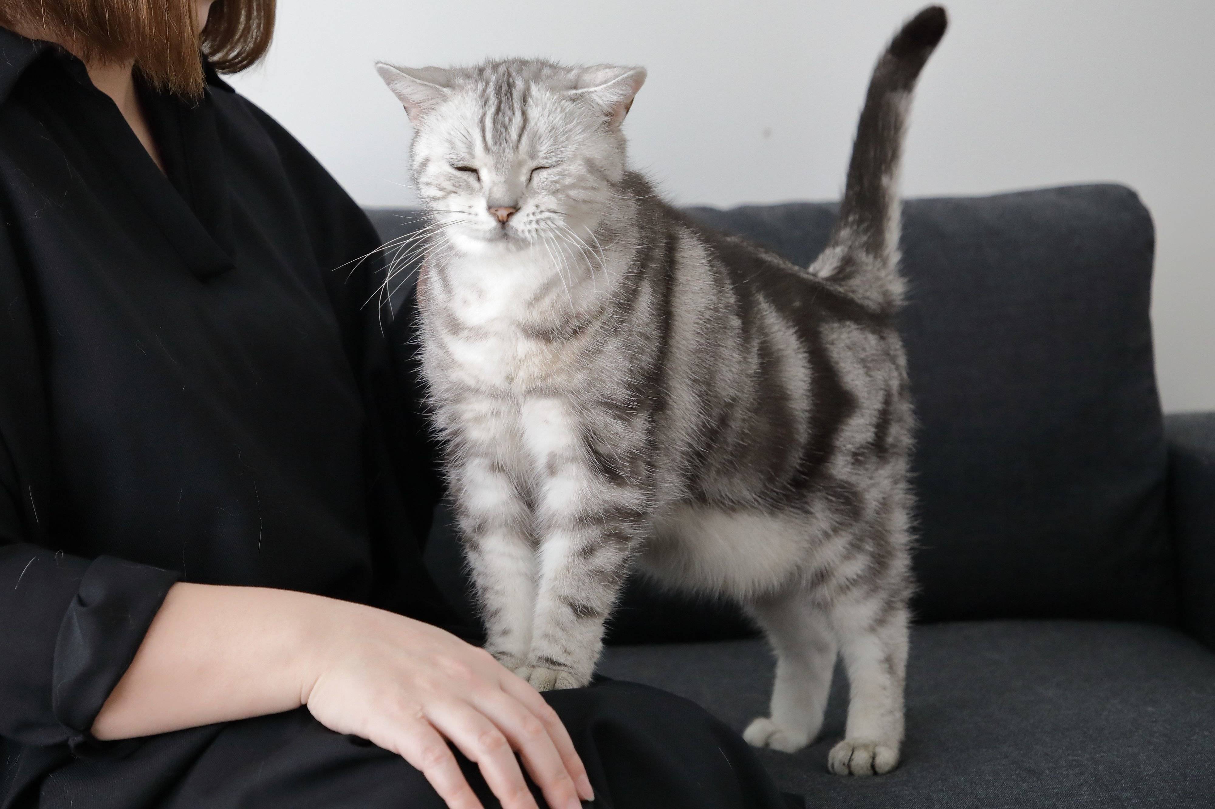 撮影／尾﨑たまき