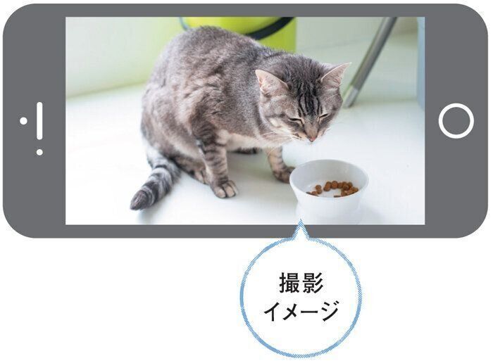 食べ方の異変の撮影イメージ