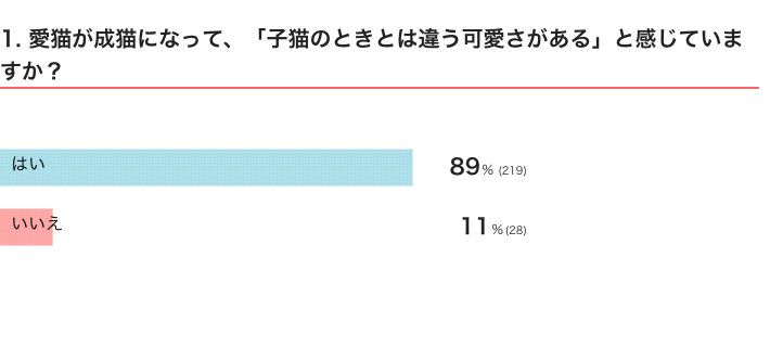 ねこのきもちWEB MAGAZINE『猫の可愛さに関するアンケートvol.1』　247件の回答