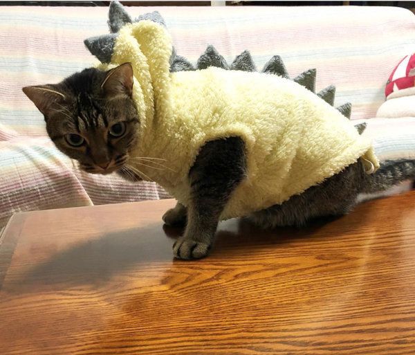 3COINSの「恐竜ペットパーカー」