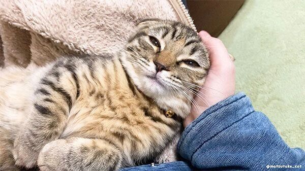 甘えるまつたけちゃん