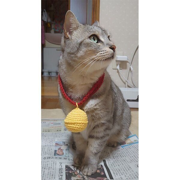 新聞に乗るにゃーちゃん