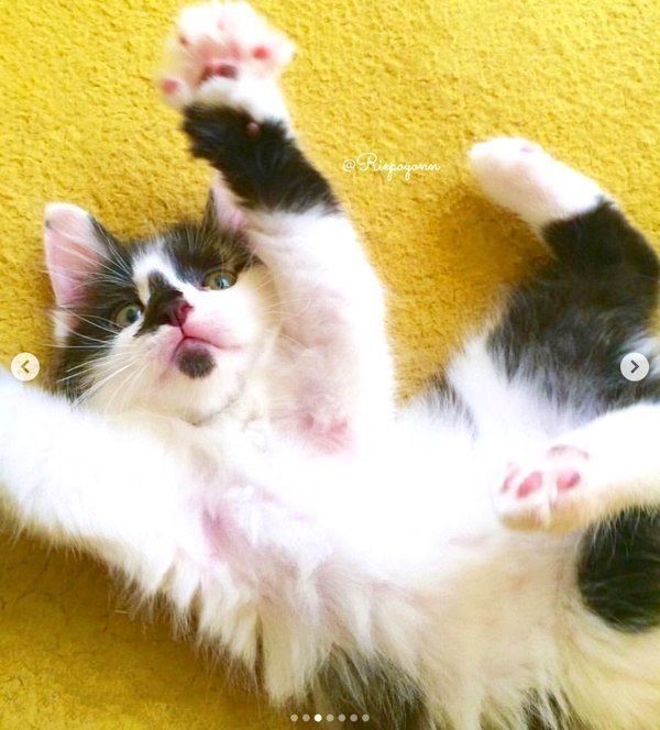 伸びをするそらくん