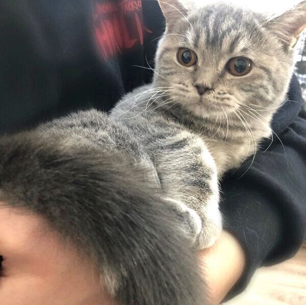 お迎え当時のぽぺんちゃん