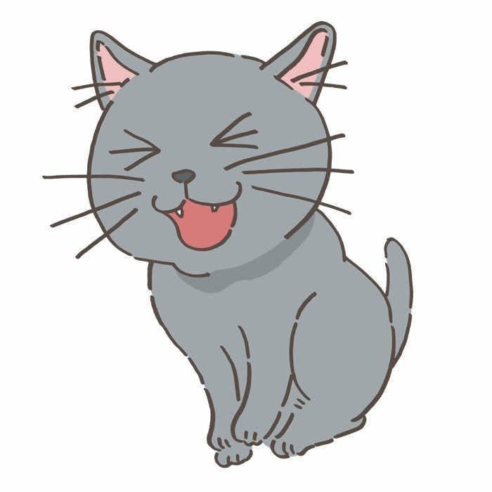 イラスト／野田映美