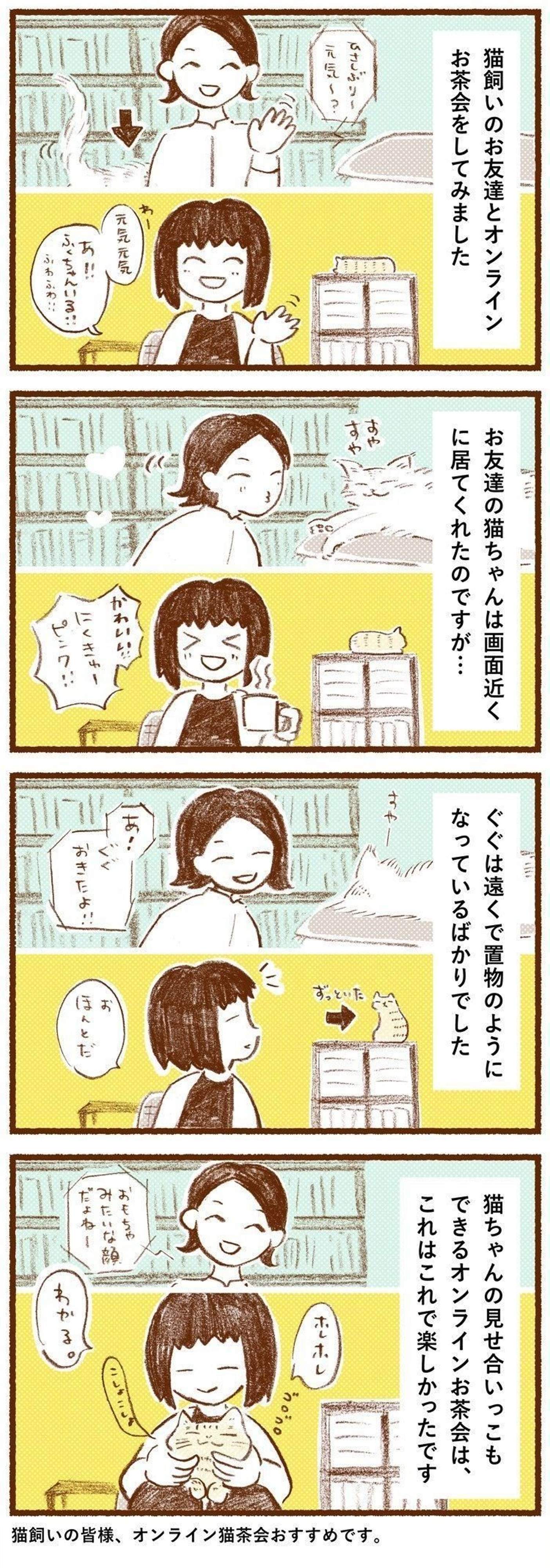 オンライン猫茶会 をしてみた結果 やっぱり姿を見せに来ない猫 しまねこぐぐ Vol 59 ねこのきもちweb Magazine オンライン猫茶会 をしてみた結果 やっぱり姿を見せに来ない猫 しまねこぐぐ Vol 59 ねこのきもちweb Magazine
