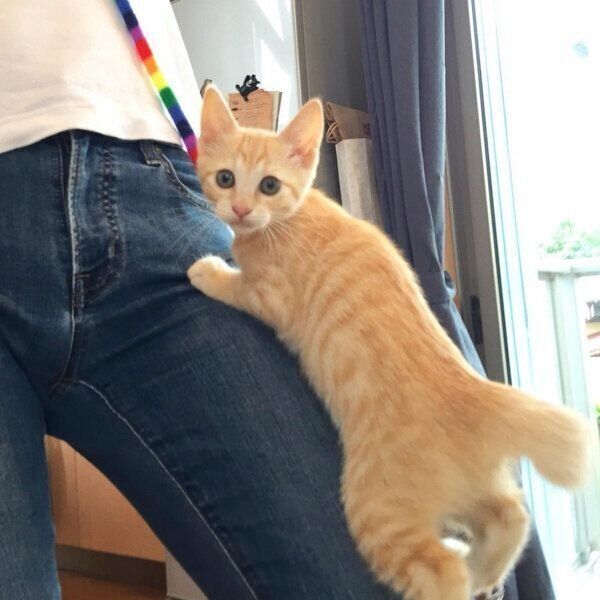 楽しそうに遊ぶもいわちゃん