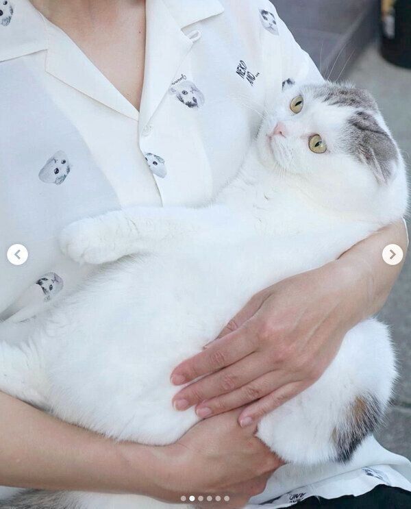 ライくん×「niko and ...」のコラボ商品