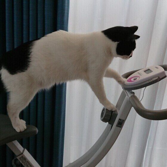 運動不足を解消するMIX