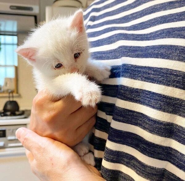 抱っこされるコハクさん