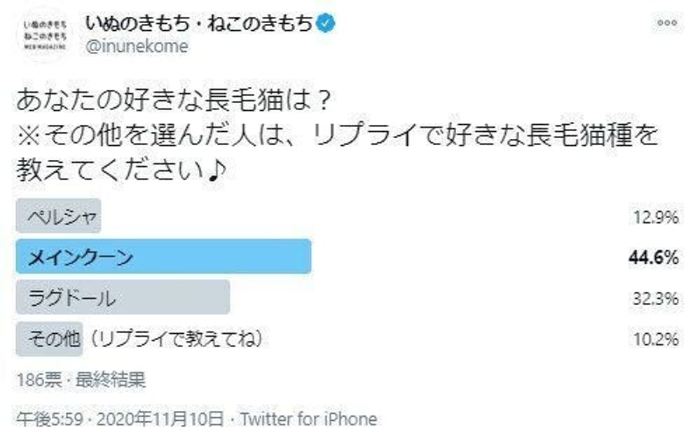 あなたが好きな長毛猫は 気になるアンケート結果を発表 ねこのきもちweb Magazine あなたが好きな長毛猫は 気になるアンケート結果を発表 ねこのきもちweb Magazine