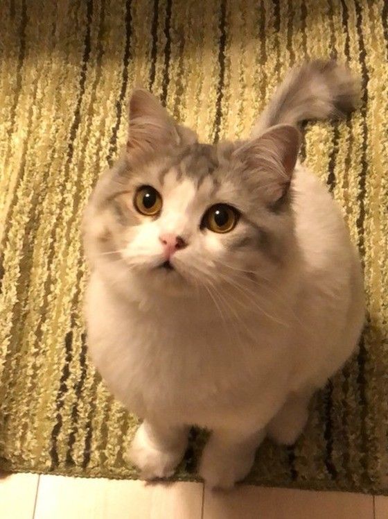 元気に２歳の誕生日