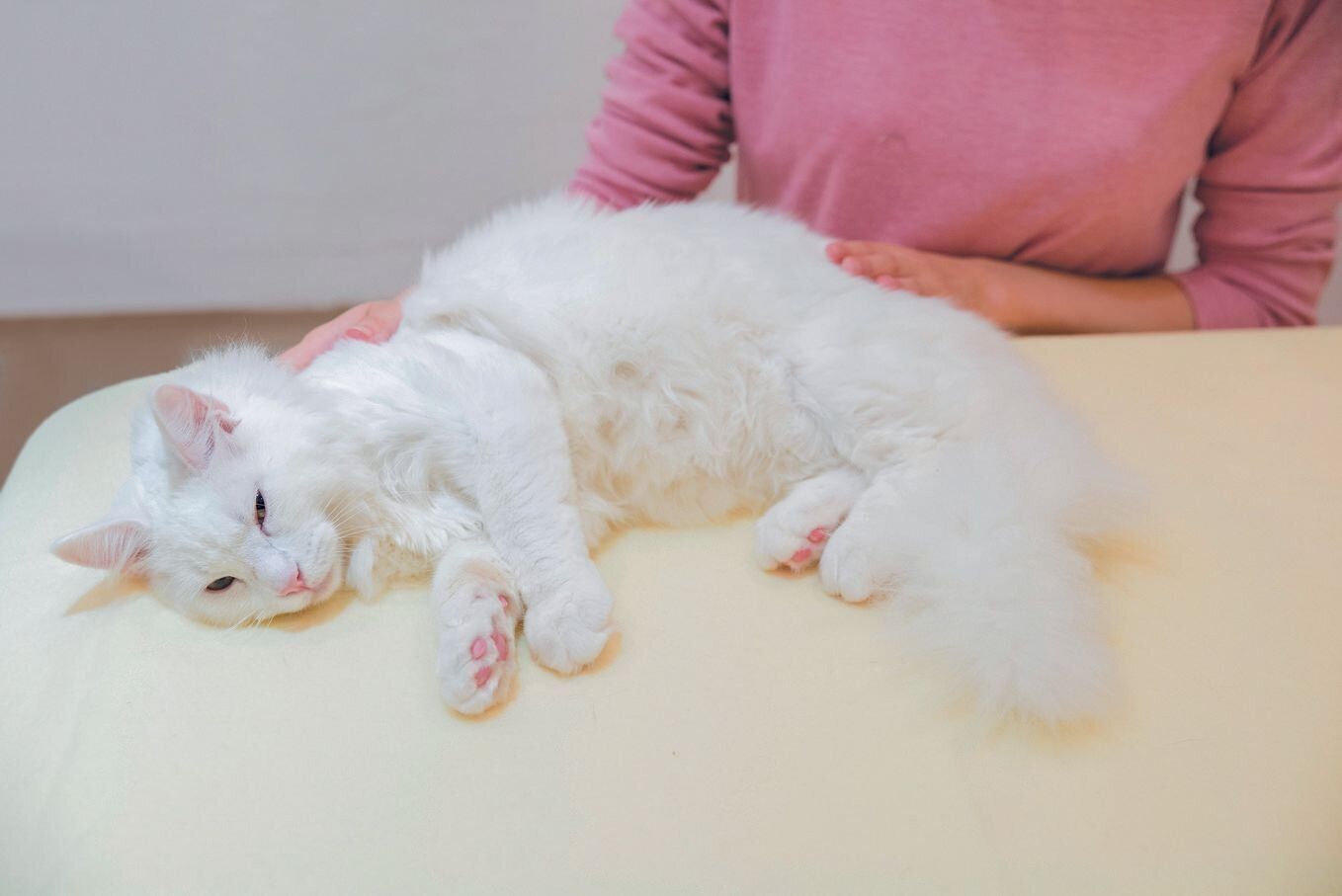 撮影／中川文作