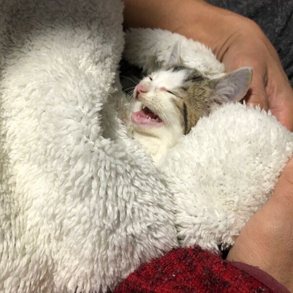 抱っこされるうしおくん