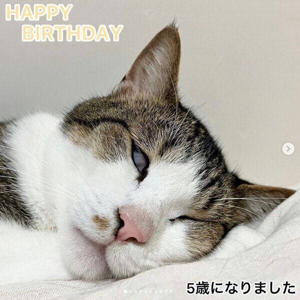 白目をむいて眠るマイレくん