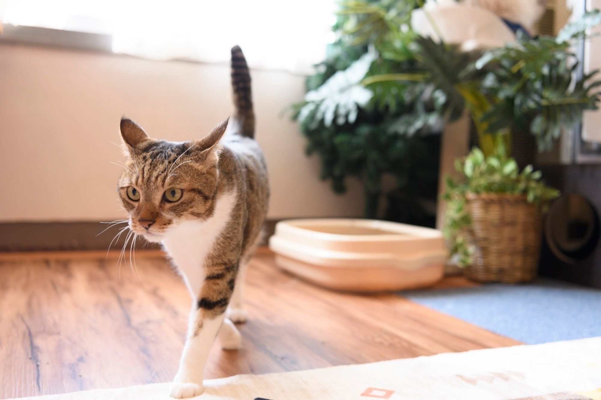 撮影／Akimasa Harada