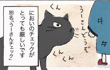 『ねこ連れ草』サムネイル