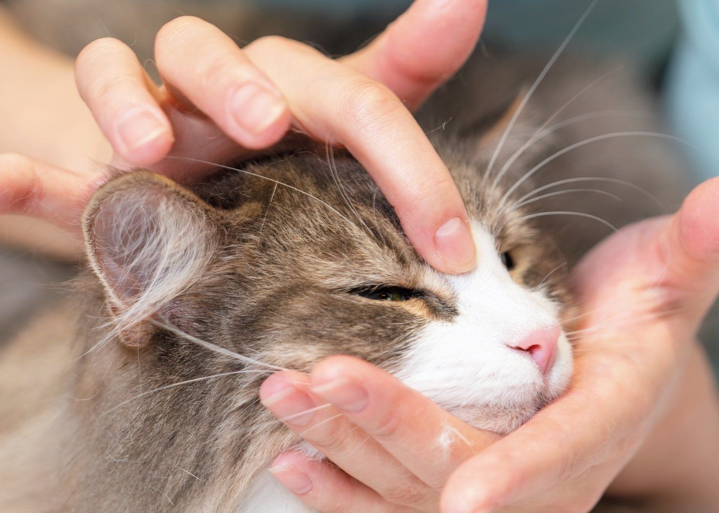 撮影／石原さくら