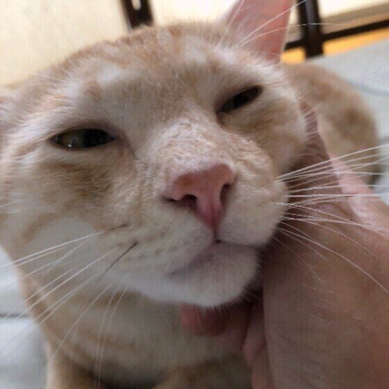 嬉しそうなマロンちゃん