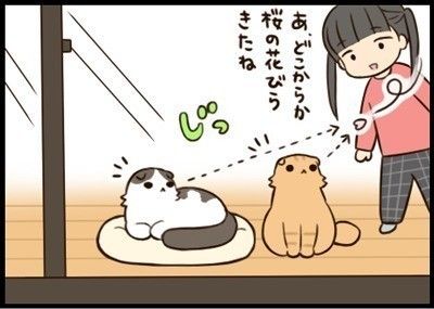 「もふもふスコタン」タイトル