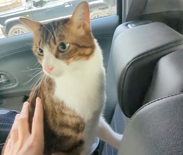 優しく甘えん坊なところもあるバロンくん