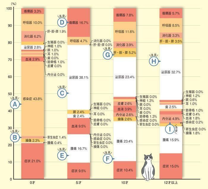 猫の死亡原因の内訳 イラスト／西イズミ