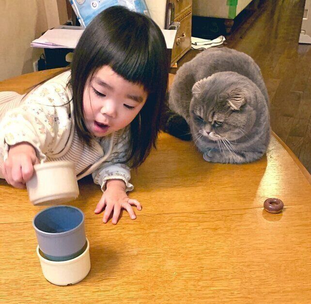 娘さんのことを見守るたこやきくん