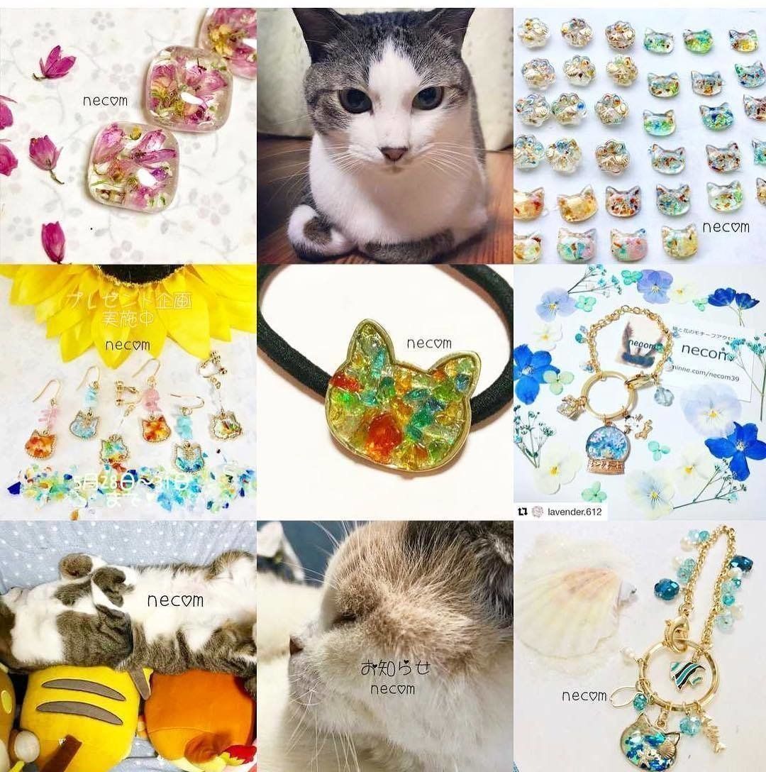 さまざまなアクセサリー