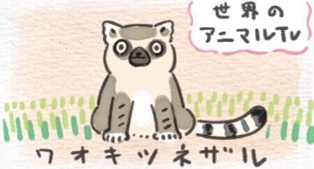 336話めサムネイル