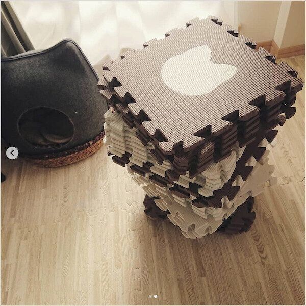 ジョイントマットで作る猫トンネル