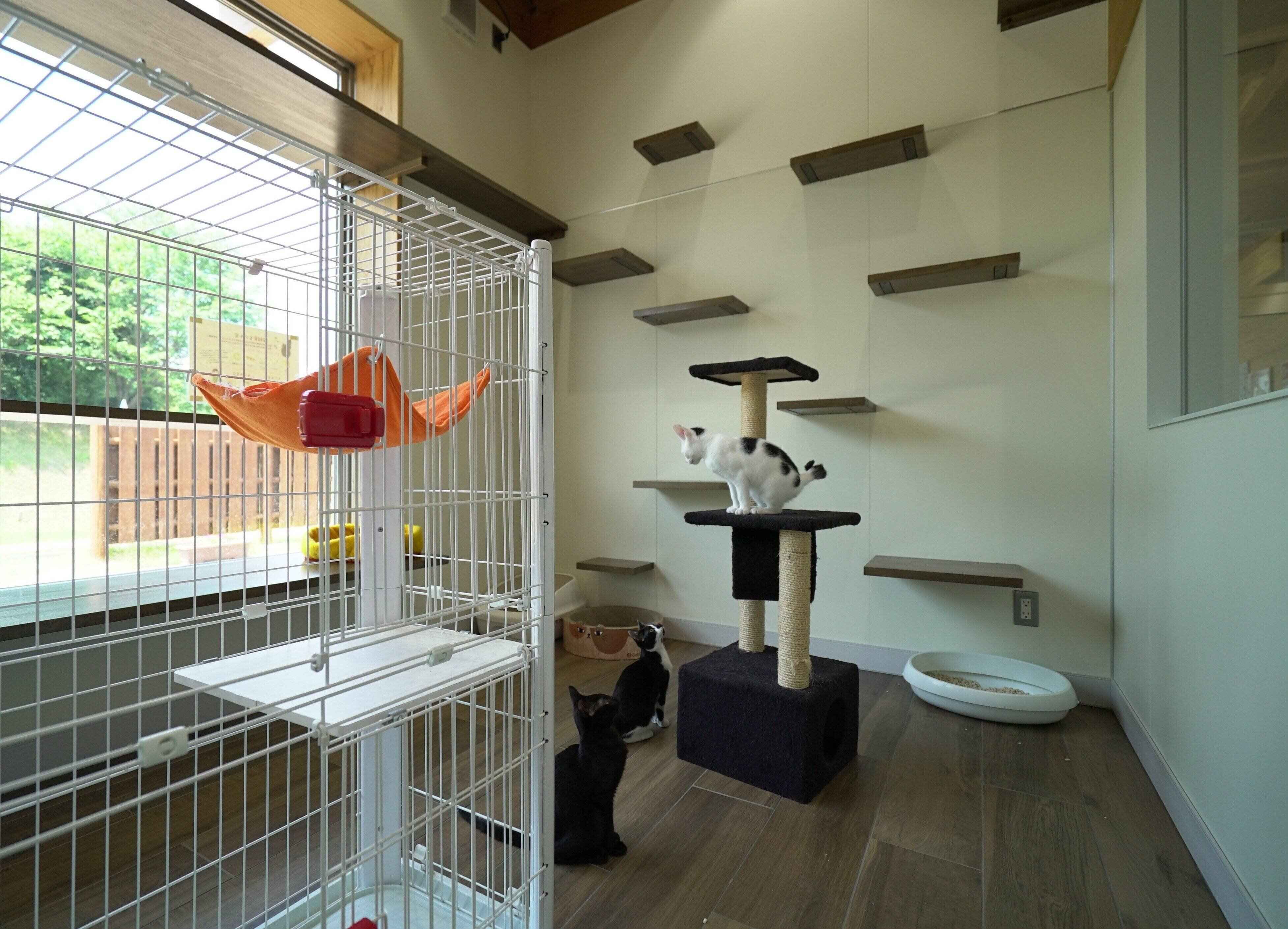 写真提供／おおいた動物愛護センター