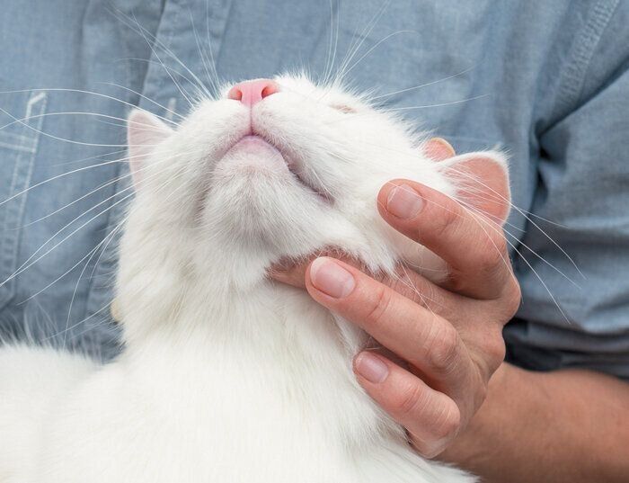 部分的な汚れの拭き方