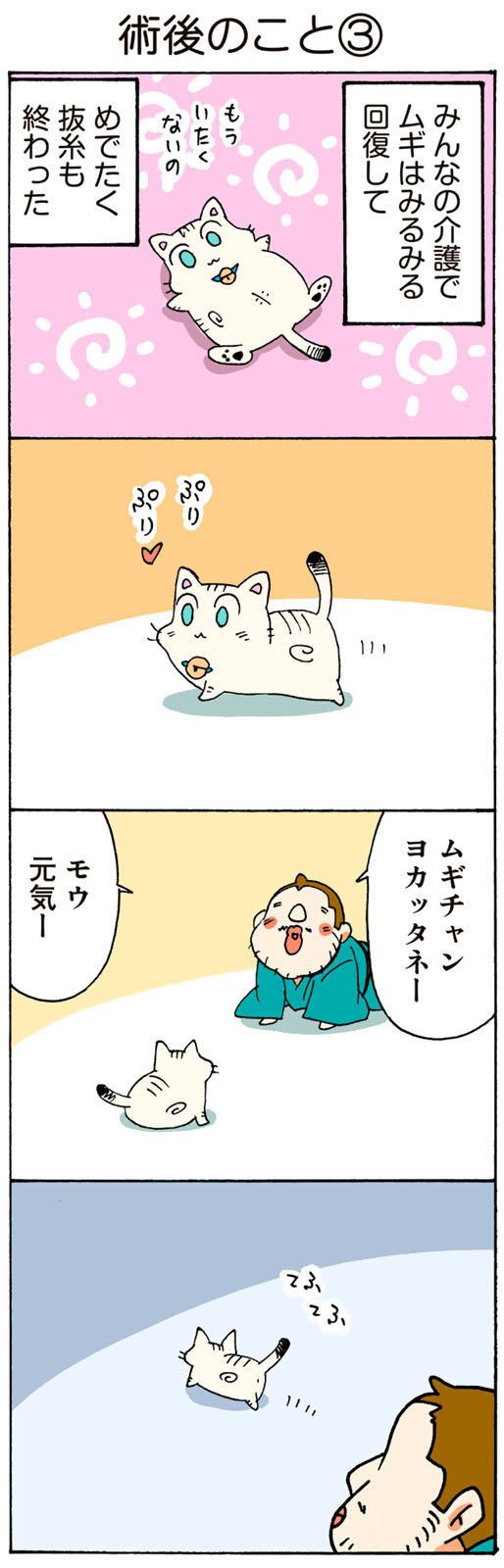 ©片倉真二/講談社