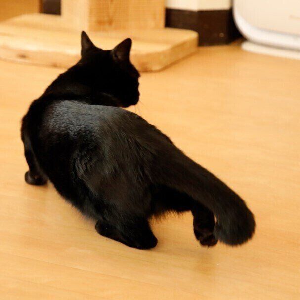 撮影／尾﨑たまき