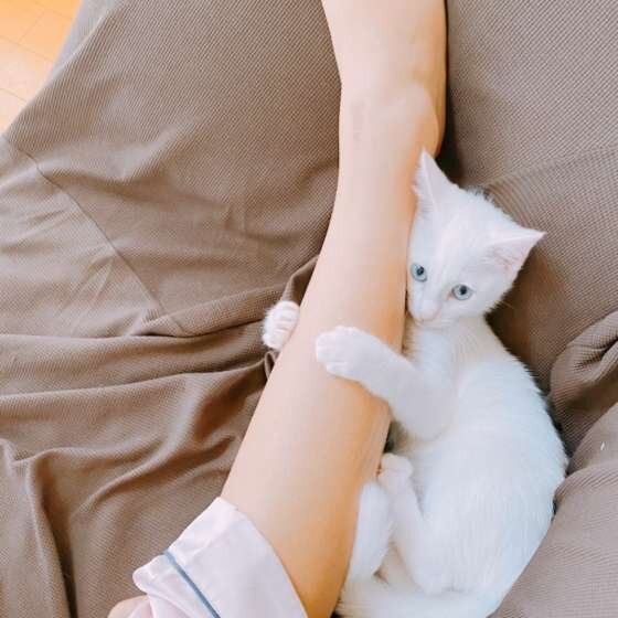 足にしがみつく、MIXのもねちゃん