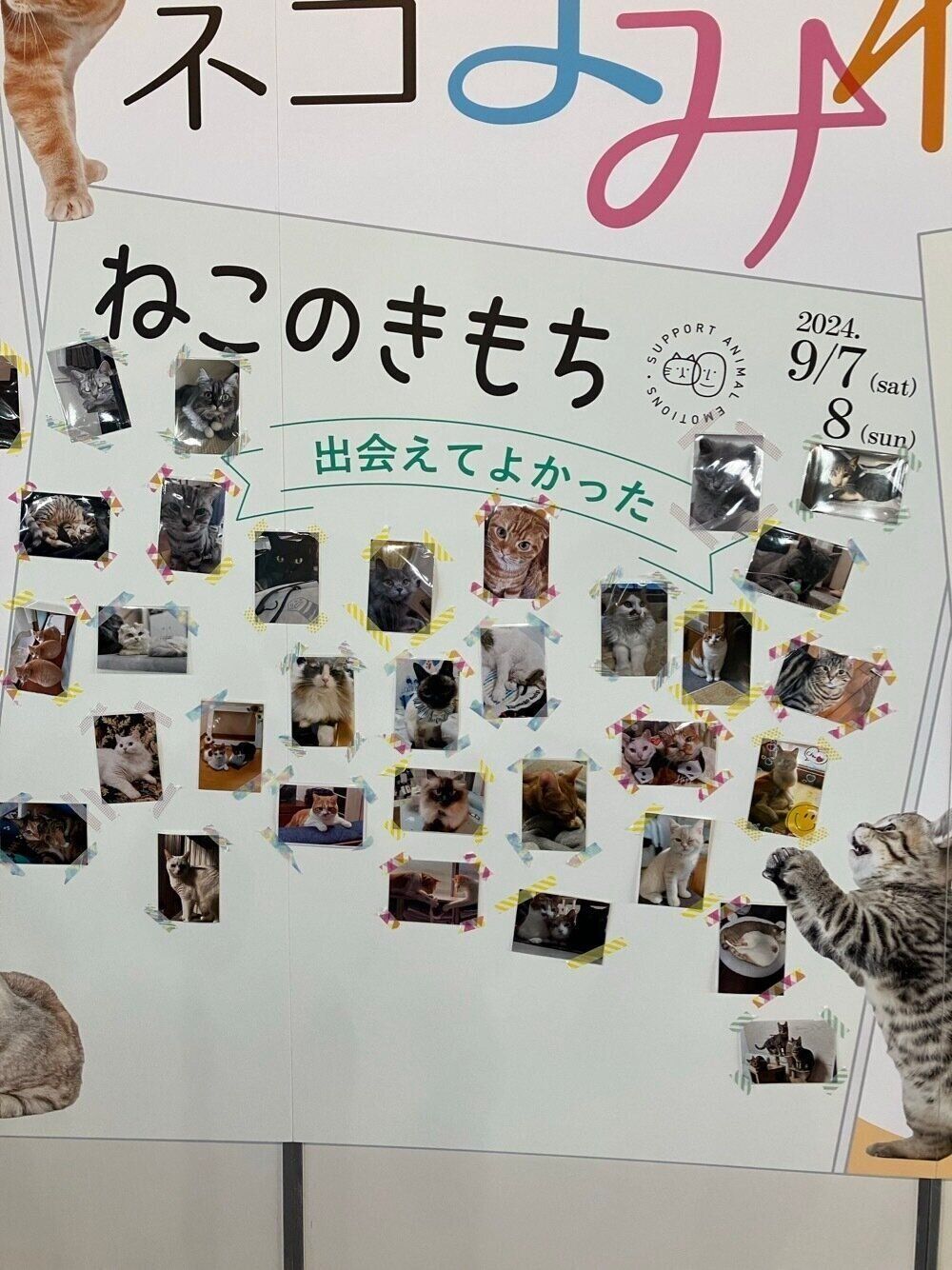 出会えてよかった